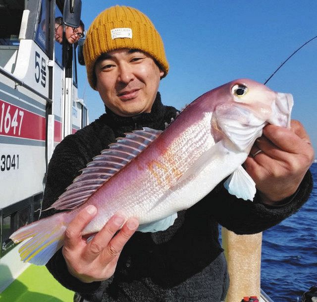 立派なアマダイ！　京都では「グジ」と呼ばれ料亭などで重宝されている