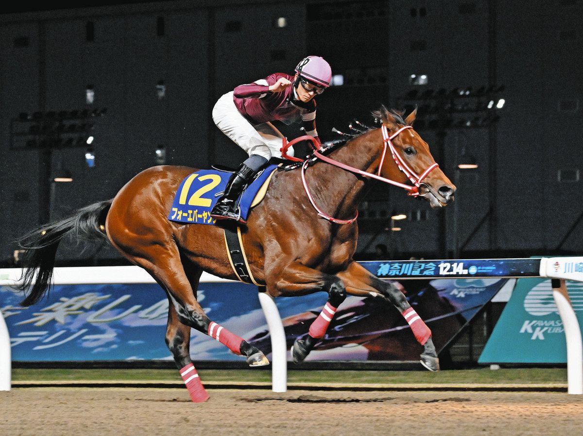 第26回ジャパンダートクラシック フォーエバーヤング ミニゼッケン他