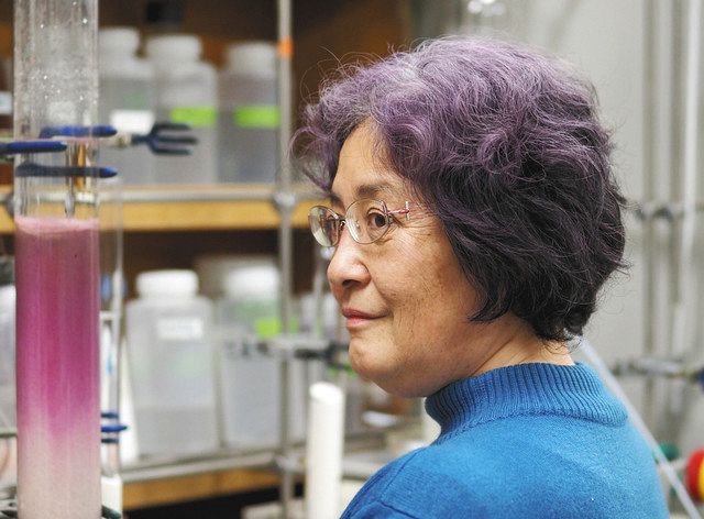 紫キャベツから青の天然着色料 名大などの国際チームが開発 中日新聞web