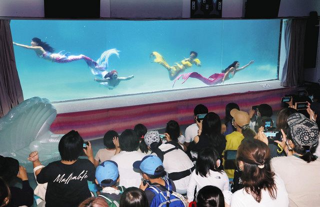 私たち、人魚姫 コスチューム姿で遊泳、マーメイドスイム：中日新聞Web