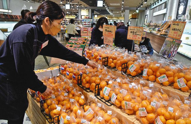 ずらりと並ぶ旬のミカン。生産者の写真をつけるなど売り方も工夫する＝岐阜市の「カネ井青果　アクティブＧ店」で
