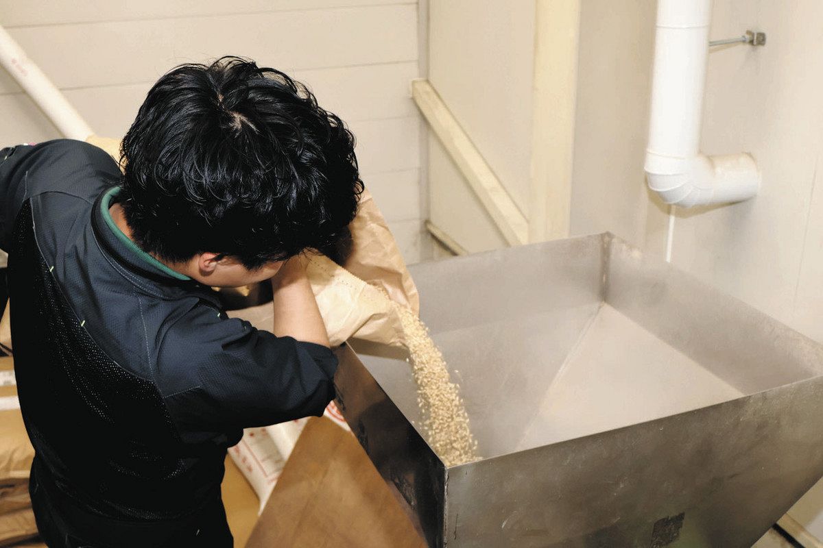古典 世界一のビールへ夢託す 駒ケ根と宮田で二条大麦の収穫開始：中 その他