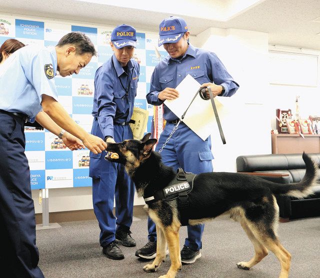 警察犬アルフレッドが行方不明女性を発見 一宮署から表彰：中日