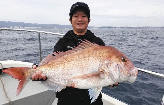 九州発 河野剛志の釣り日誌 桜鯛始動 タイラバで７９センチゲット 中日スポーツ 東京中日スポーツ