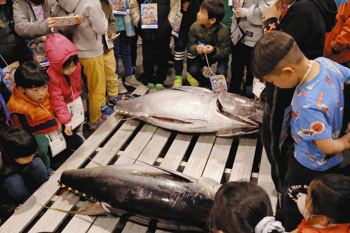 大型冷凍庫の中「凍りそう」 北勢地方卸売市場で年に一度の一般開放：中日新聞Web