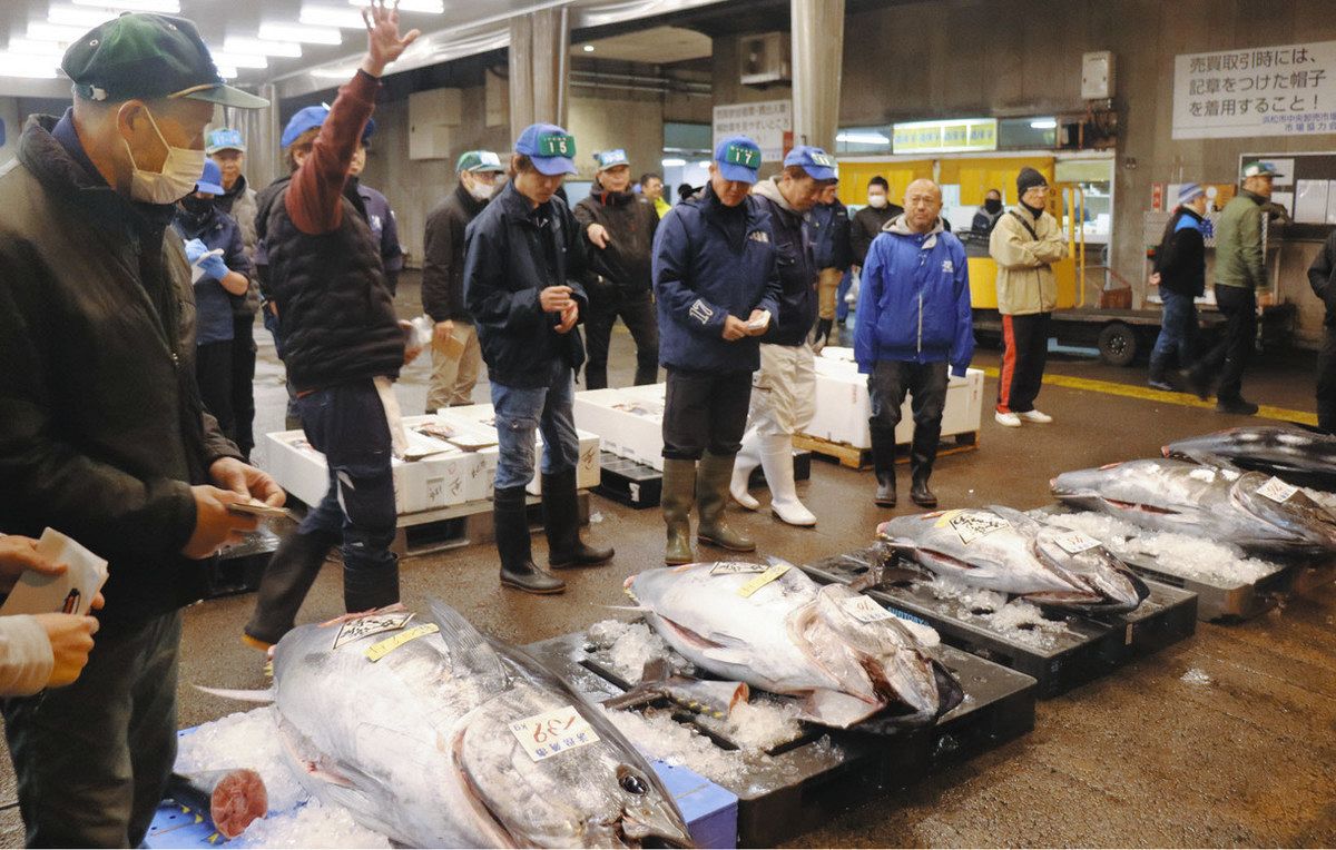 浜松 市 中央 卸売 市場