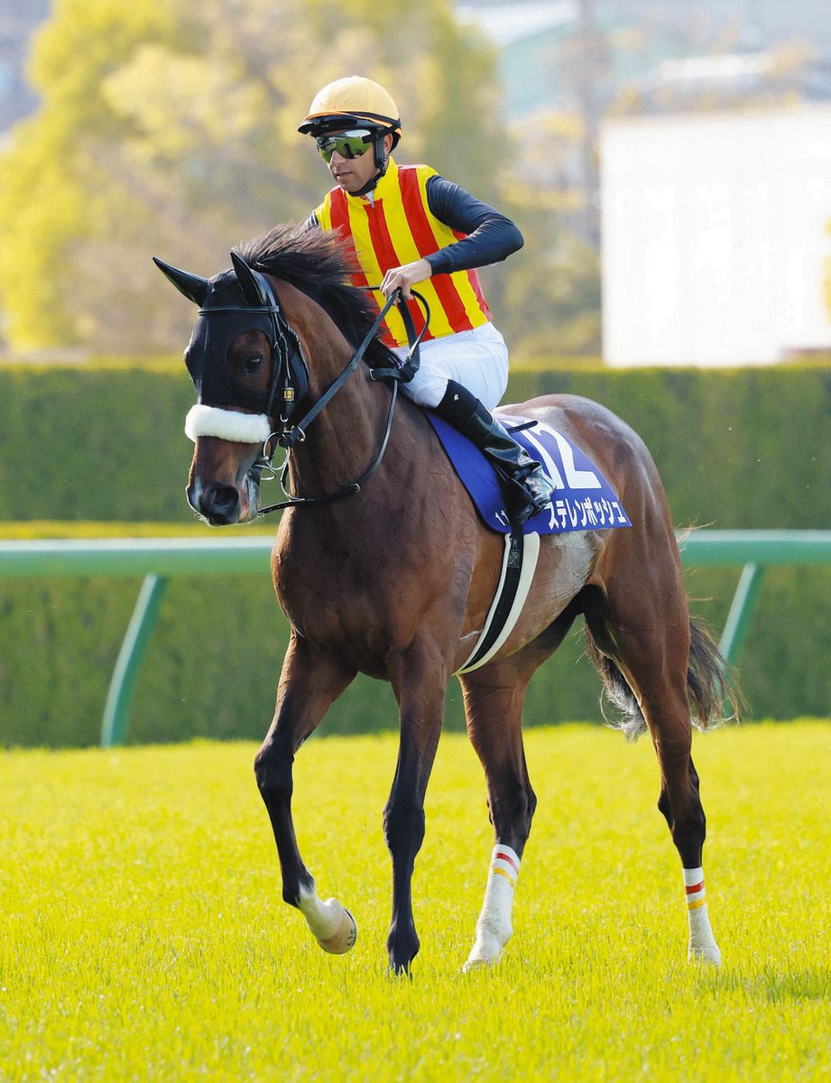 大阪杯】また関東馬勝てず…ステレンボッシュは13着、モレイラ「後半は