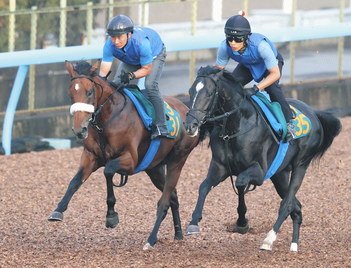 ✨希少✨アーモンドアイ出産記念クッション2022 エピファネイア