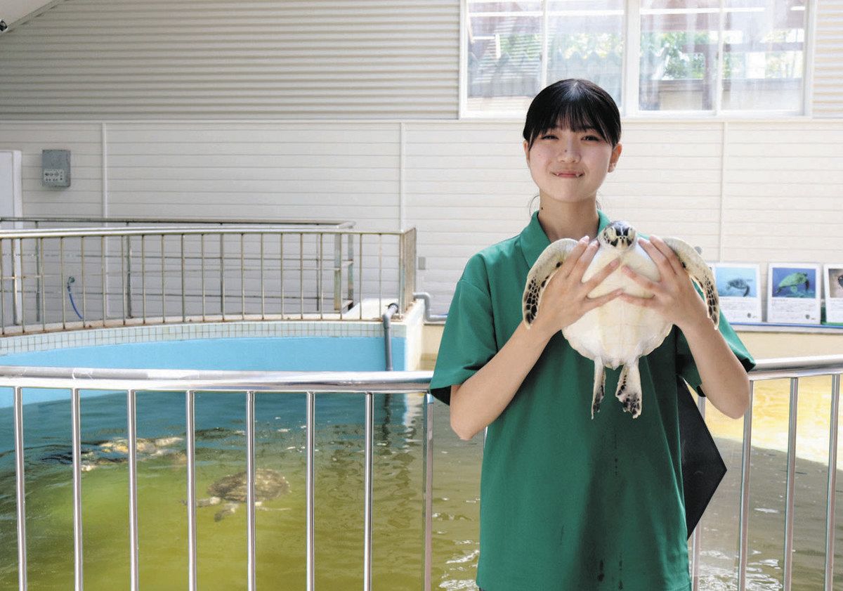 念願かない飼育員デビュー 道の駅「紀宝町ウミガメ公園」佐藤さん：中