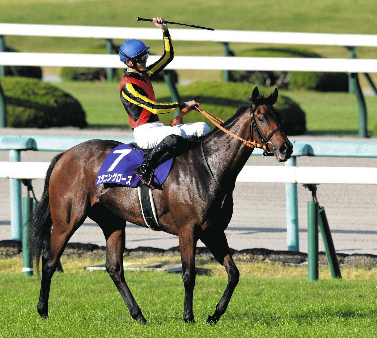 秋華賞】高野厩舎の馬がワンツー「最後の100メートルは複雑な