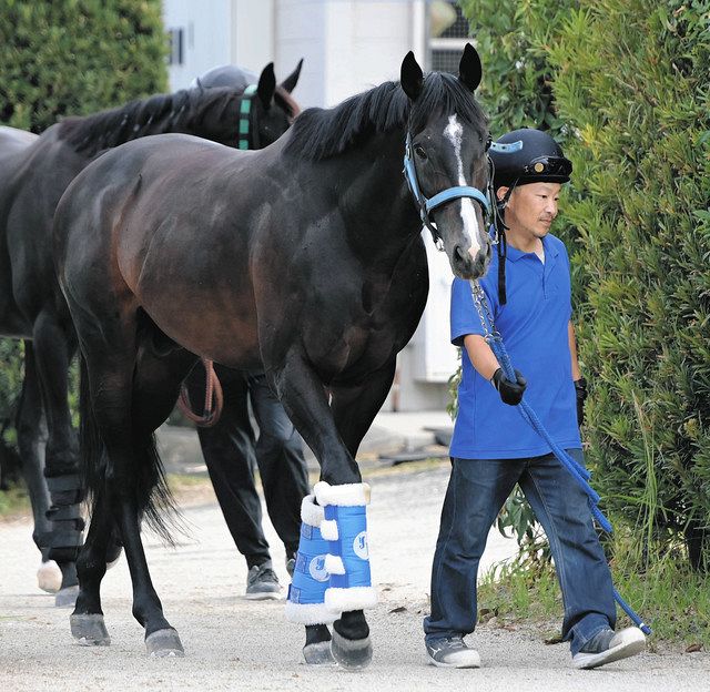 どんなに名手が乗ってもゲートが苦手なジャンダルム 鞍上荻野極で