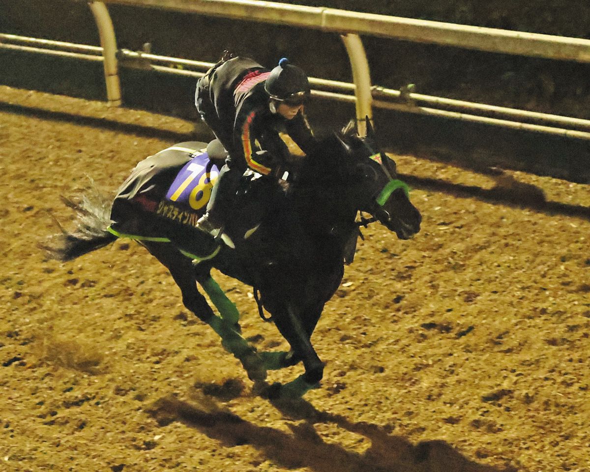 有馬記念・追い切り】ラストランのジャスティンパレスは坂路で余裕十分