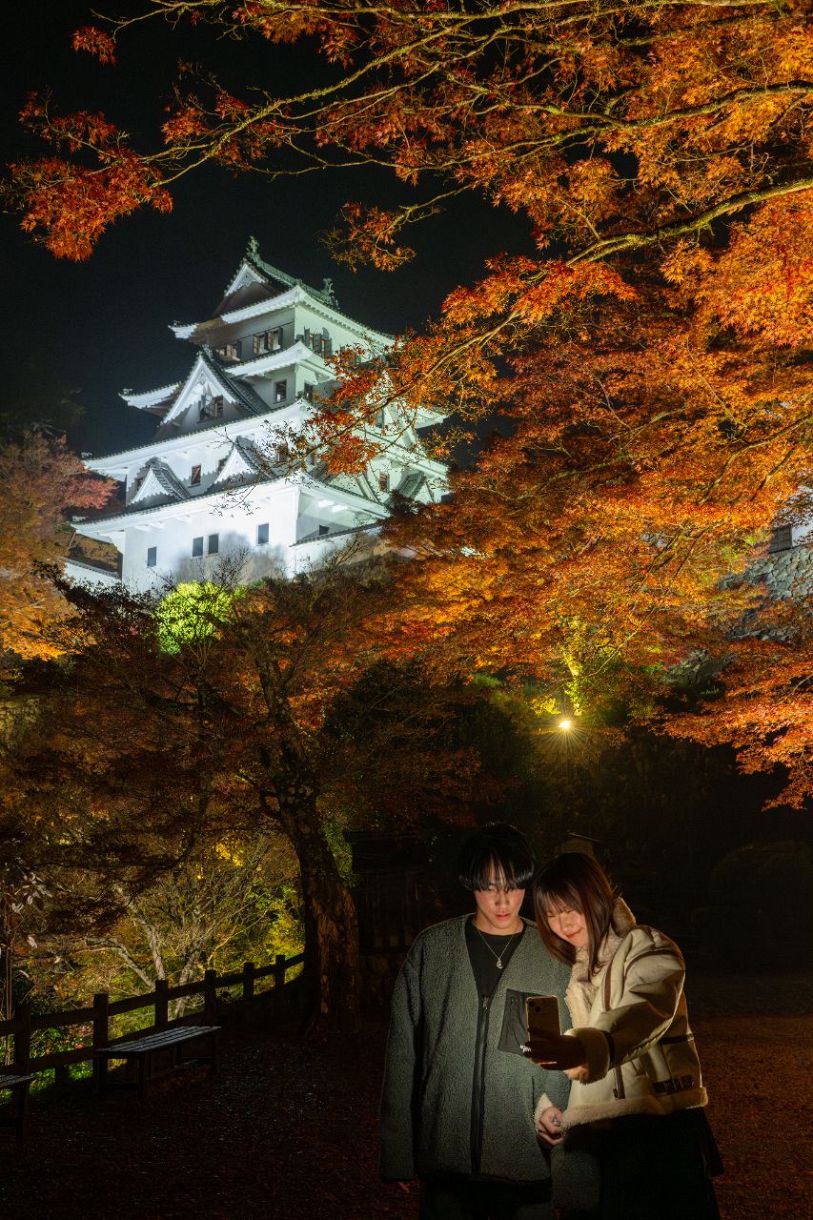 加藤工芸 キャッスルライト 天然木 破損有り 加藤工芸 キャッスル