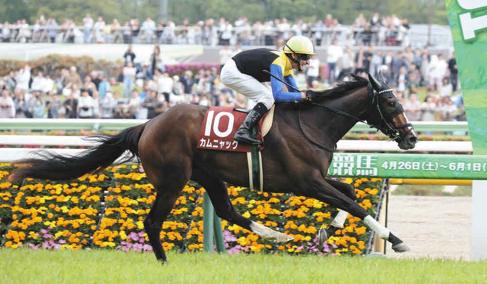 フローラS】〝祝福された者〟カムニャック快勝、いざ樫の大舞台へ