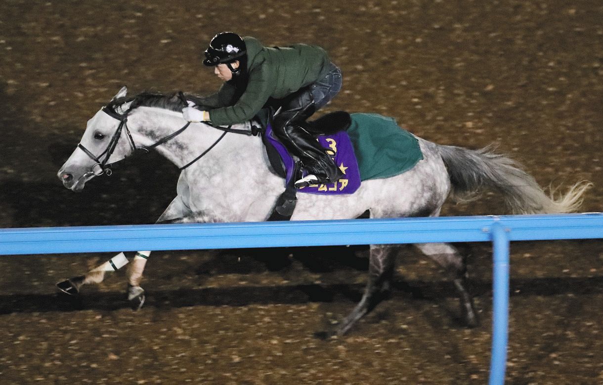 汚名返上へノームコア 状態は何も心配ありません と南田助手 香港c 中日スポーツ 東京中日スポーツ