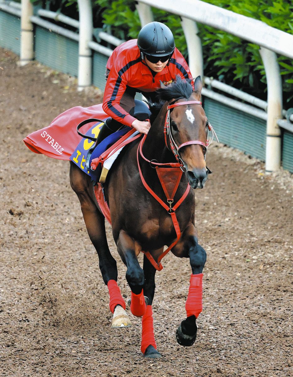 天皇賞春・枠順決定】9歳馬エヒトは4枠6番 「理想の枠が引けました