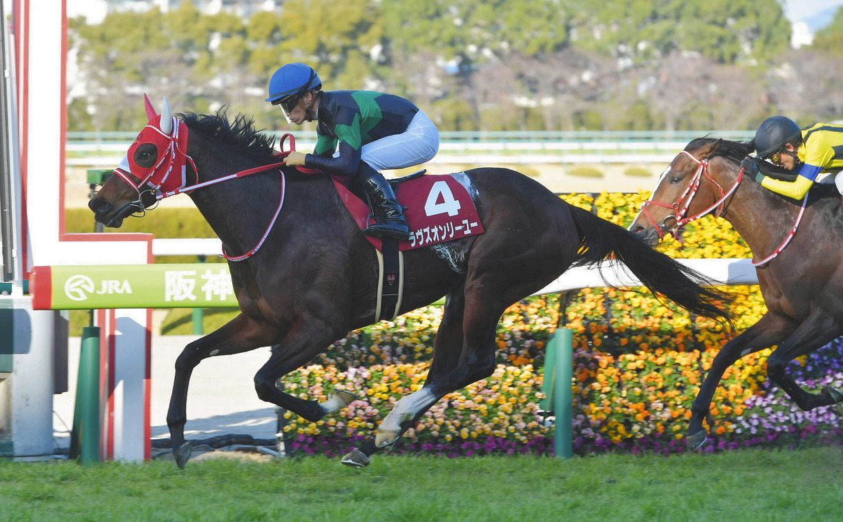 ラヴズオンリーユー 競馬ブルゾン - ジャージ