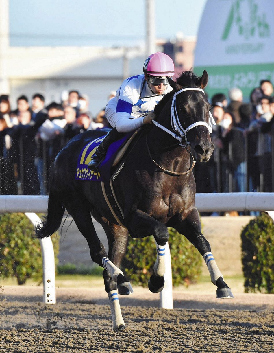 川崎記念を圧勝した際のチュウワウィザード