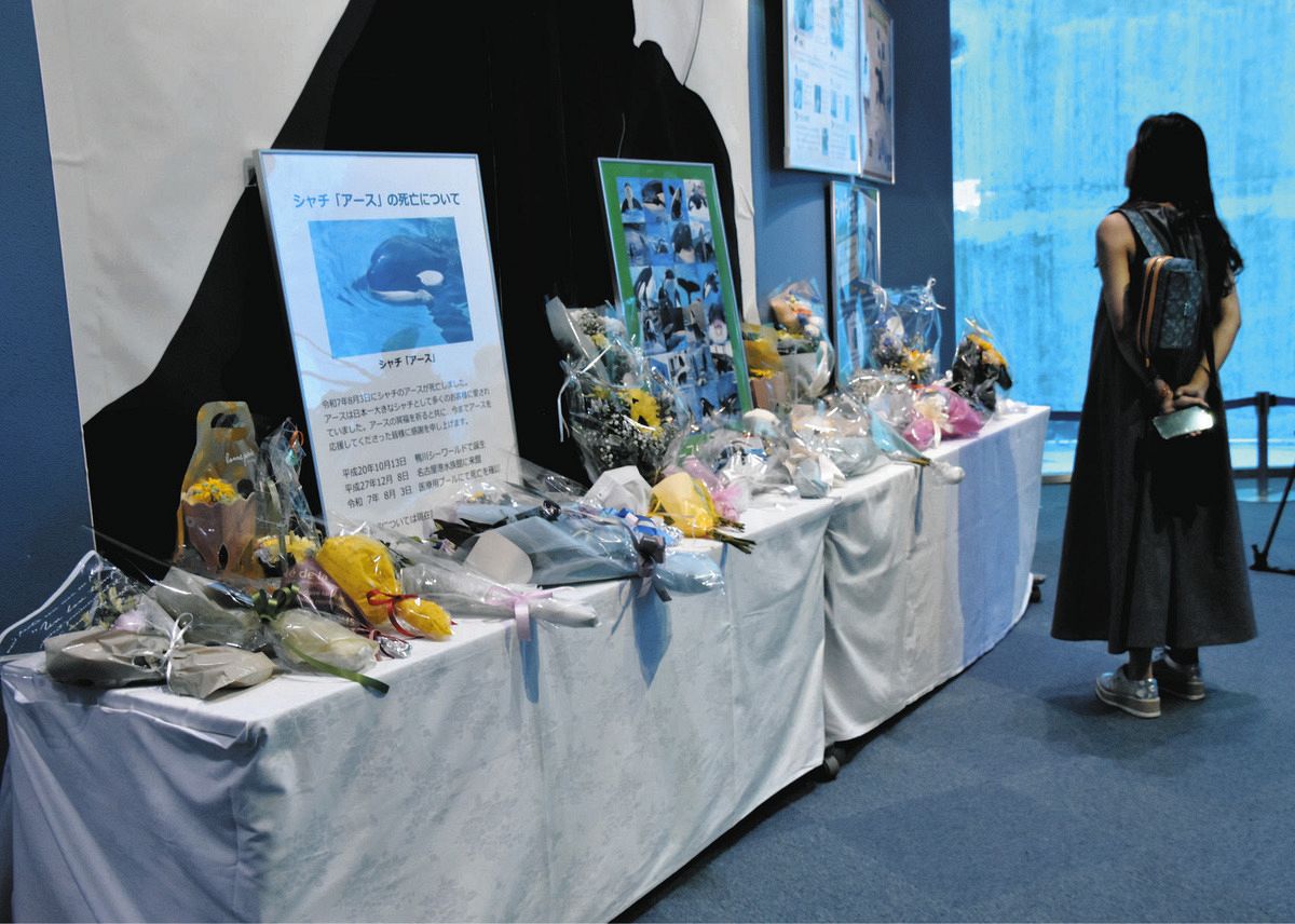 名古屋港水族館でのアース