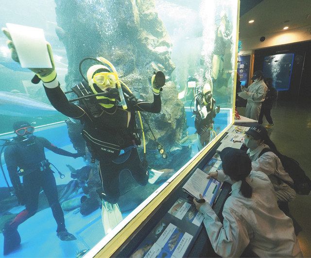 潜水ゴシゴシ 水槽ピカピカ 魚津水族館で滑川高生：北陸中日新聞Web