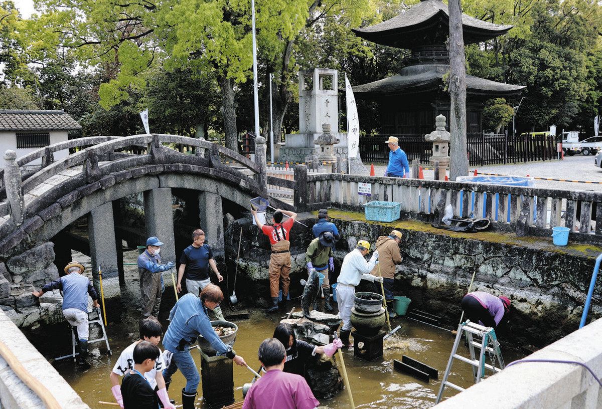 池の大掃除をする人たち＝知立市西町の知立神社で
