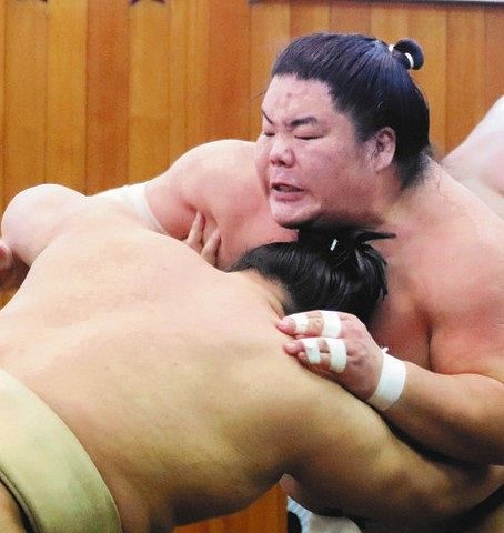関取衆の申し合いを行う大栄翔（右）＝日本相撲協会提供