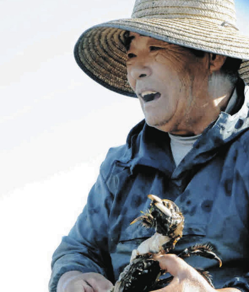 長良川河口堰 30年の現実は？：中日新聞Web