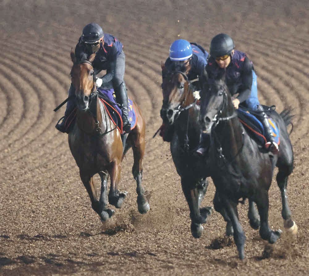 レガレイラ 新馬戦 maxresdefault.jpg