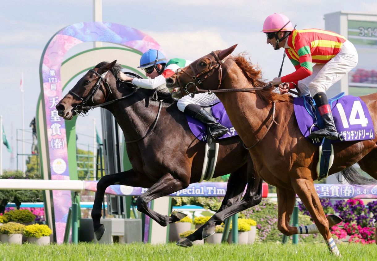 へデントール　メイクデビュー東京　現地単勝馬券　天皇賞・春制覇 天皇賞・春】1番人気ヘデントールが人気にこたえG1初制覇！ 2着