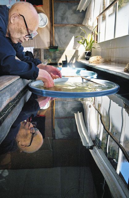 産地を支える豊かな水 越前和紙：日刊県民福井Web