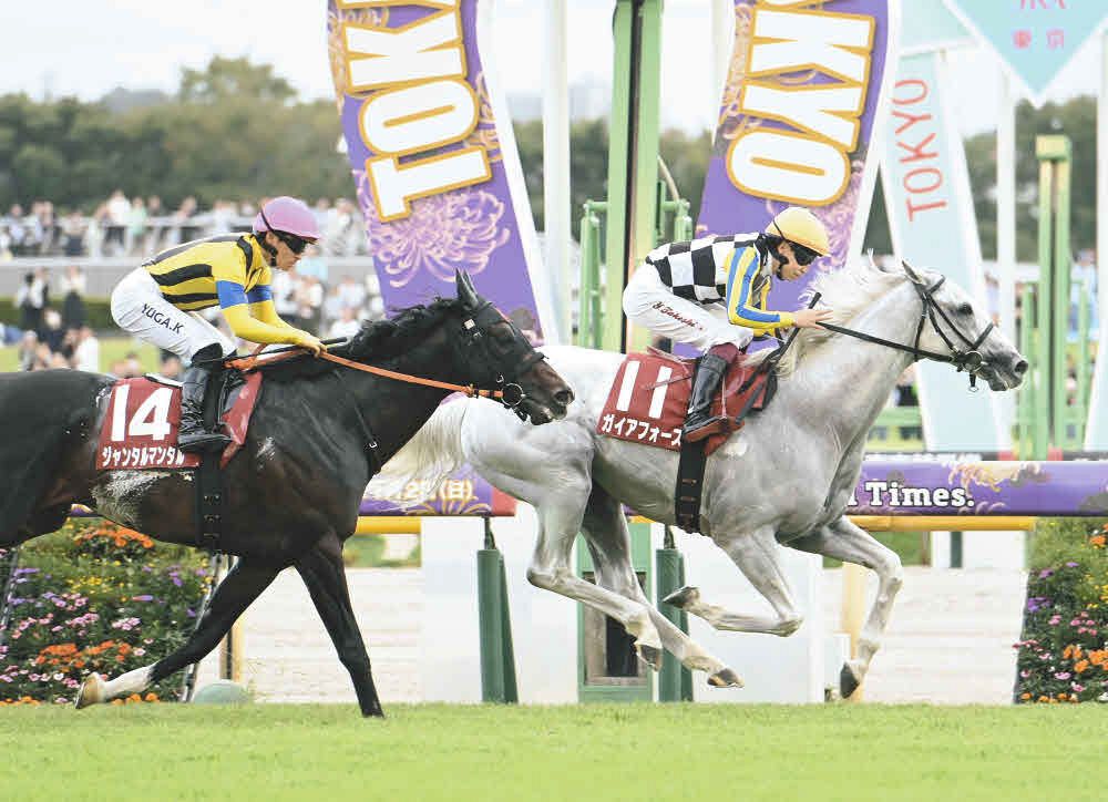 安田記念・展望】最大のライバル不在でガイアフォースにG1初Vチャンス