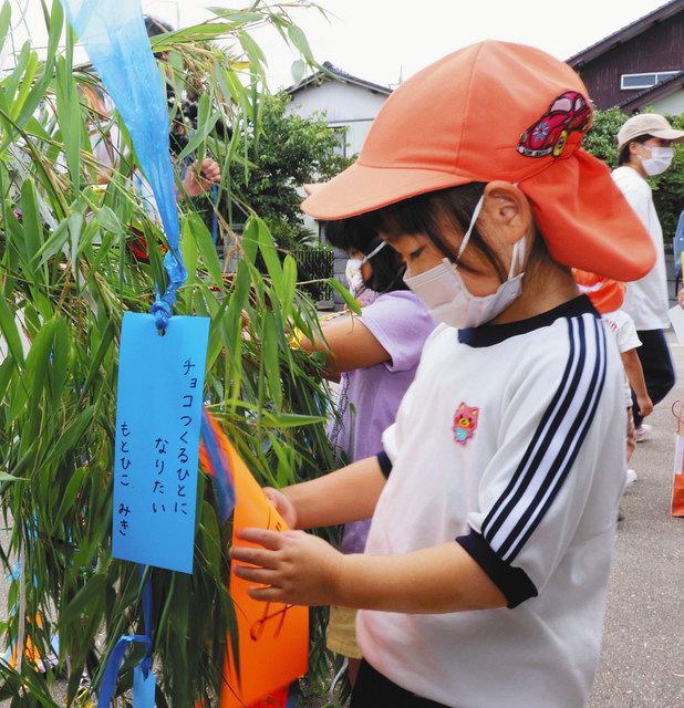 願い事 かなうといいな 白山 あゆみこども園 園児が短冊飾る 北陸中日新聞web