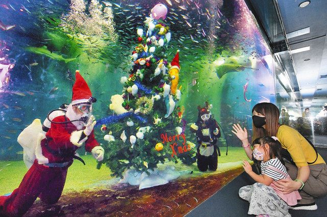 大水槽の中に登場したクリスマスツリーやサンタクロースとトナカイ姿の職員に大喜びの子ども=坂井市三国町の越前松島水族館で