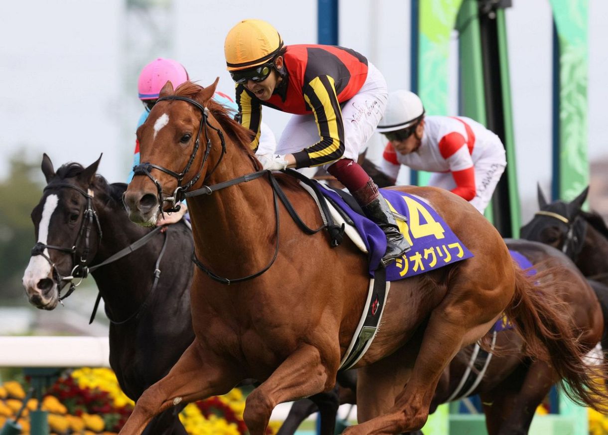 ジオグリフが引退、優駿SSで種牡馬入り 22年皐月賞ではイクイノックス 