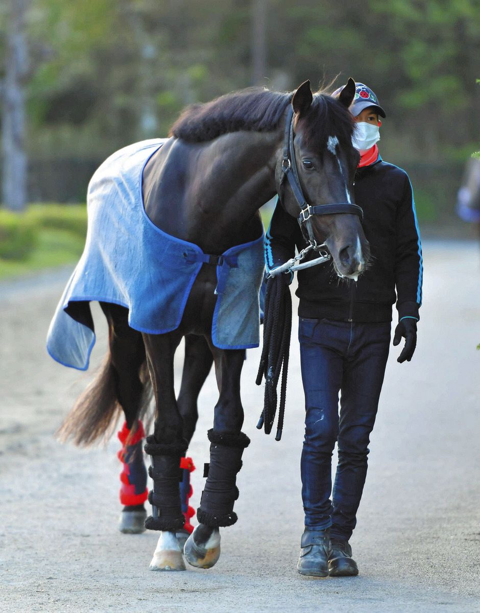 ステラヴェローチェが約2年5カ月ぶり勝利 須貝師「トップハンデでもしぶとさ見せた」【大阪城S】:中日スポーツ・東京中日スポーツ
