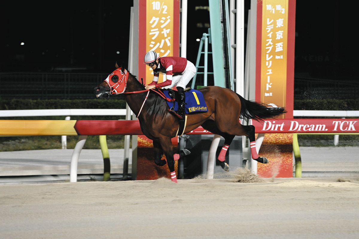 船橋競馬・日本テレビ盃展望】G1格4勝の地力を見せたいフォーエバー