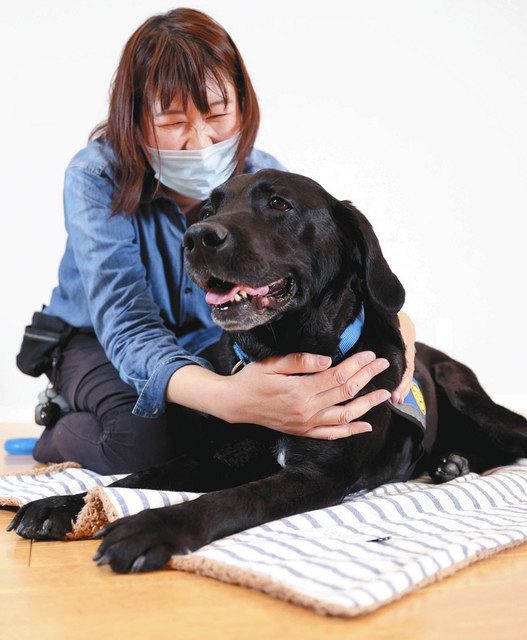 児相などで子どもの心癒やす付添犬 虐待体験「話す」サポート：中日新聞Web