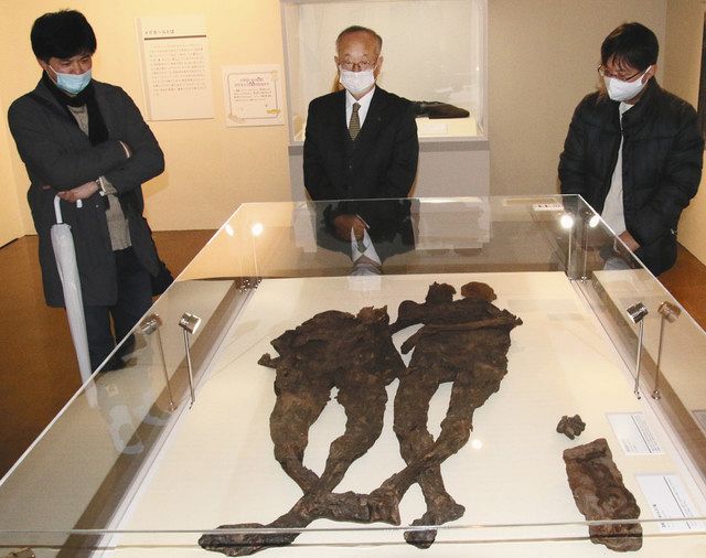 世界中のミイラに驚き 県民会館 南米などの43体展示：北陸中日新聞Web