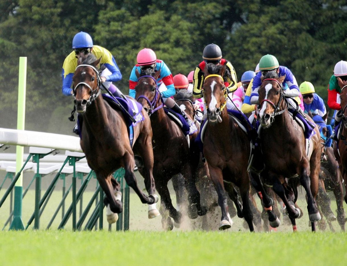 ⑧　競馬　JRA　◆　ディープインパクト　◆　ゴルフマーカー　◆天皇賞◆勝負服◆ Amazon.co.jp: 競馬 JRA ディープインパクト ゴルフマーカー 七