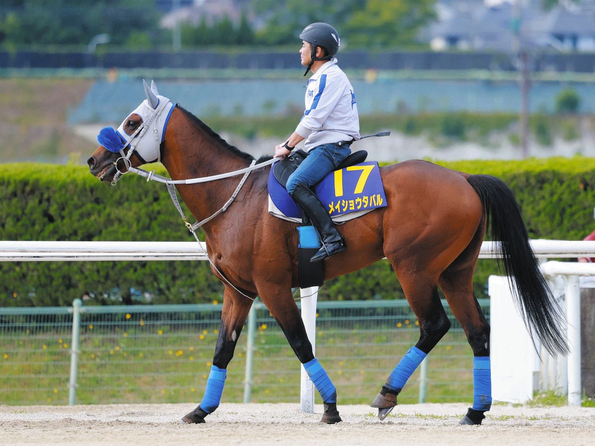 宝塚記念】クロワデュノールは天皇賞（春）激走後で、父キタサン 