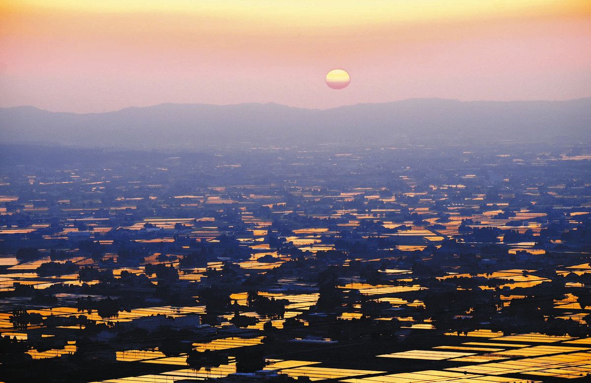 とやまを撮る】夕日に染まる水田一望 砺波平野の散居村風景：北陸中日