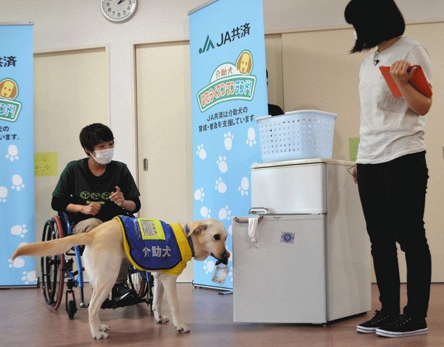 介助犬フェスタ ライブに反響 長久手の訓練センターから配信 中日新聞web