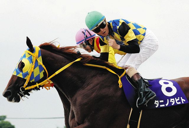 2番人気タニノタビトが史上5頭目の東海3歳三冠の快挙【中日スポーツ杯