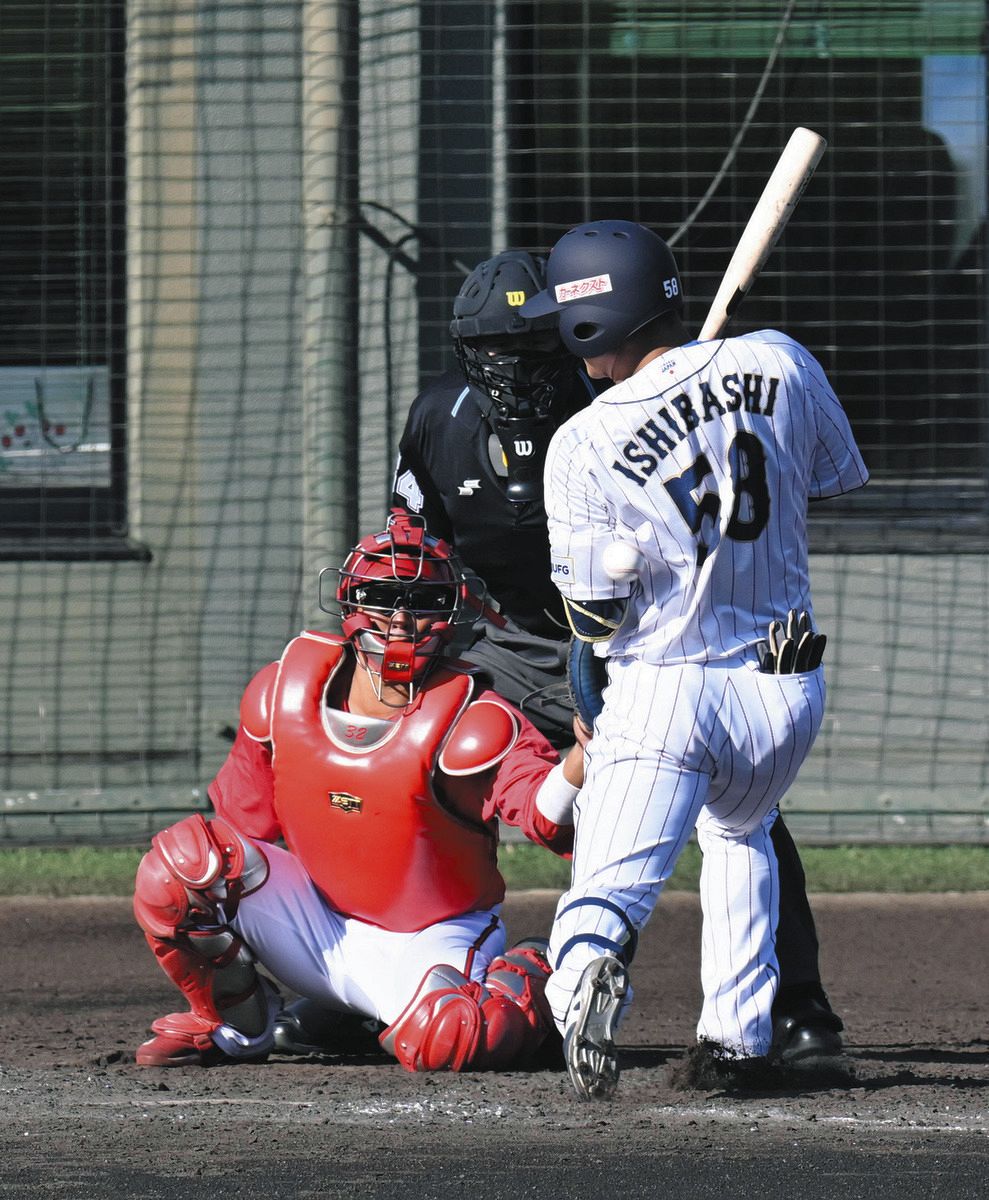 侍ジャパン ガチャ 第2段 クッション 石橋 58 侍ジャパン ガチャ 第2段 クッション 石橋 58 侍ジャパン ガチャ 第2段