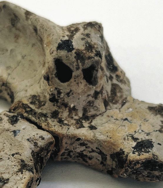 【オープニングセール】 縄文時代の「土面」出土 愛知・田原「伊川津貝塚」 全国的に希少 工芸品