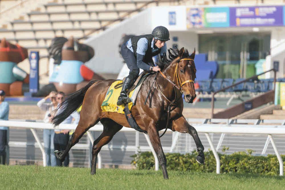 JRA賞】高松宮記念優勝馬サトノレーヴが最優秀スプリンター 堀師「春の