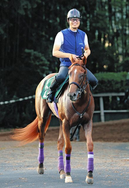 生まれた瞬間につばをつけて」3頭のG1馬を所有…大魔神・佐々木主浩さん「ハルちゃん」最後の産駒エヴァンスウィートに期待大 【熱中オーナーズサロン】：中日スポーツ・東京中日スポーツ