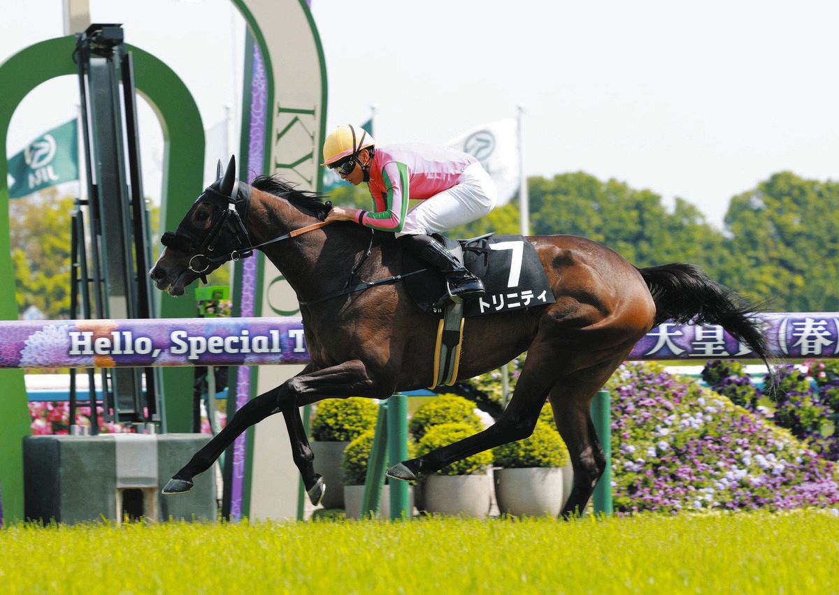 京都競馬・矢車賞】4番人気トリニティが1馬身半差で快勝 岩田望騎手