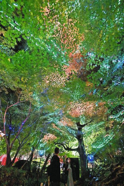 名古屋城で秋の夜間特別公開始 二之丸庭園ライトアップ 中日新聞web