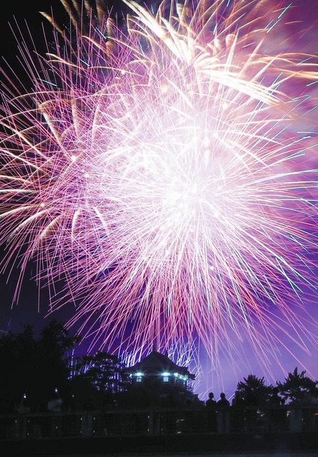 写真多数】岡崎城下家康公夏まつり花火大会 夜空を彩る１万５千発 ：中日新聞Web